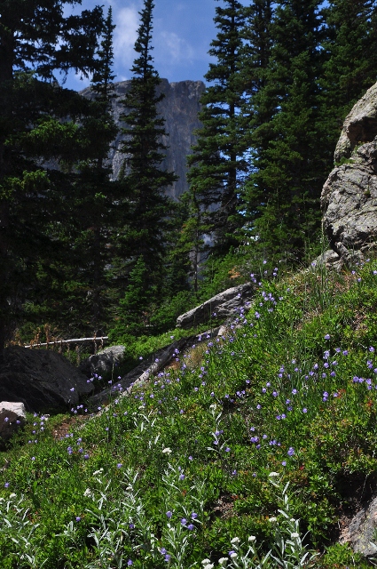 The Bear Lake Trail